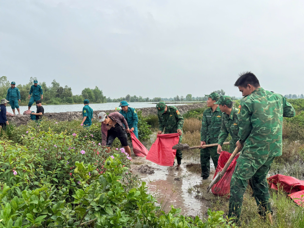 Đồn Biên phòng Mỹ Thạnh Tây khẩn trương giúp dân phòng, chống lũ