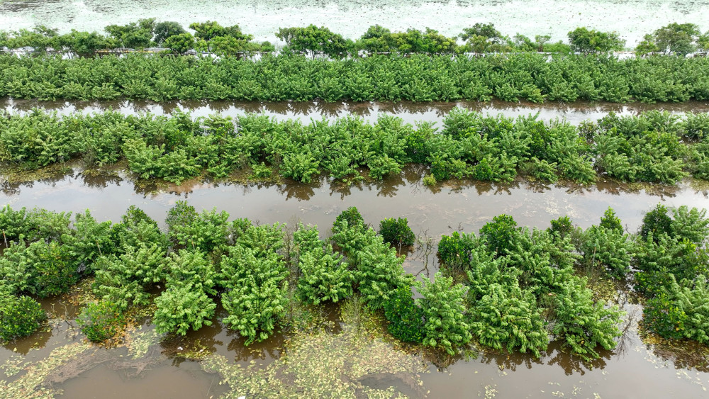 Lãnh đạo xã Tân Thạnh thăm hỏi, động viên gia đình bị thiệt hại do mưa lũ