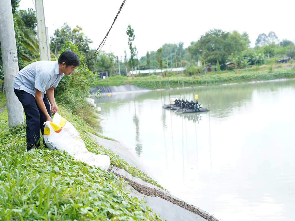 Anh Võ Thanh Liêm cho cá ăn