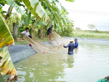 Lan tỏa tinh thần sản xuất nông nghiệp xanh, tuần hoàn