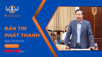 Bản tin phát thanh ngày 29/10/2025