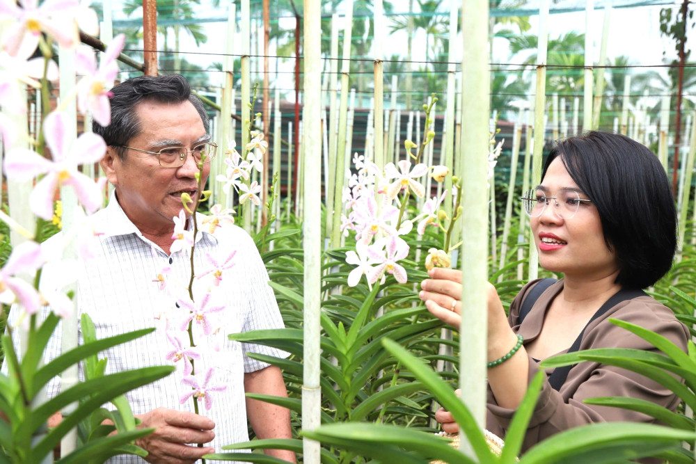 Ông Nguyễn Văn Trở chia sẻ kinh nghiệm chăm sóc vườn Lan