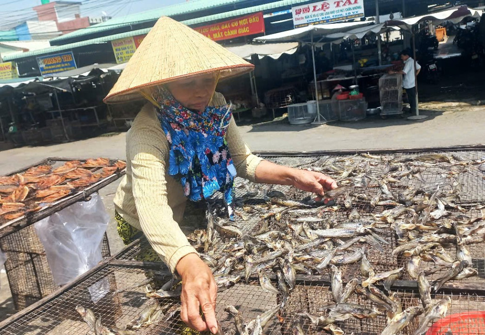 Vào mùa làm khô cá đồng