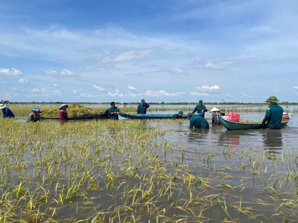 Tây Ninh: Thiệt hại do lũ hơn 33 tỉ đồng