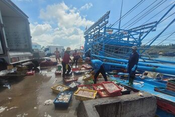 Khắc phục 'thẻ vàng' IUU: Cà Mau ưu tiên xử lý dứt điểm các trường hợp vi phạm