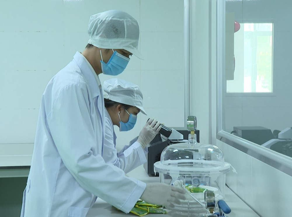 Để sản phẩm OCOP vươn xa