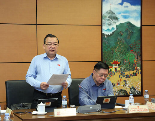 Đại biểu Quốc hội Lê Thị Song An: Góp ý nhiều nội dung quan trọng đối với dự án Luật sửa đổi, bổ sung một số điều của Luật Quản lý nợ công