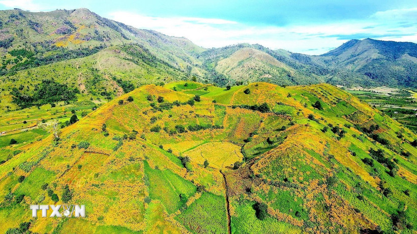 Tuần lễ hoa dã quỳ-Núi lửa Chư Đang Ya 2025: Điểm nhấn văn hóa du lịch Gia Lai