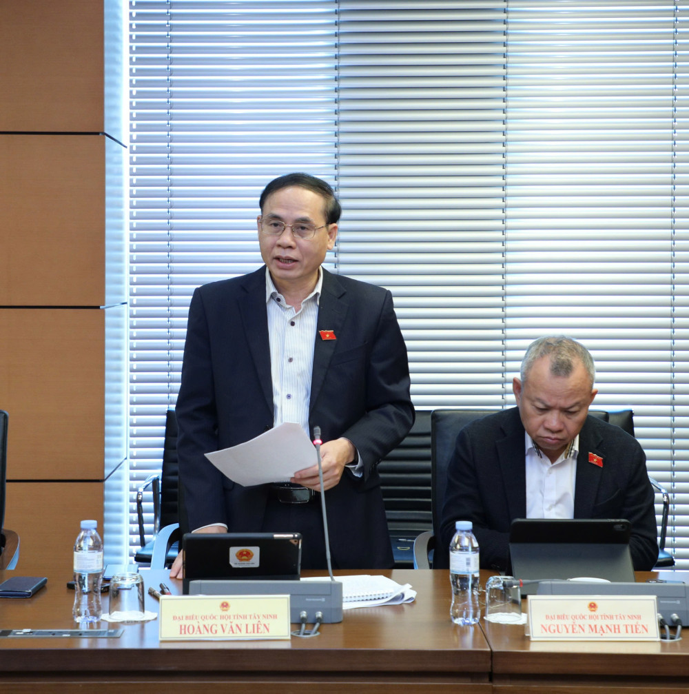 Đại biểu Quốc hội tỉnh Tây Ninh kiến nghị hoàn thiện quy định về thi hành án và tạm giữ, tạm giam