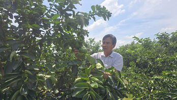 Building modern new rural areas