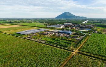 Diện tích mía trong vùng nguyên liệu AgriS Tây Ninh tiếp tục tăng trưởng