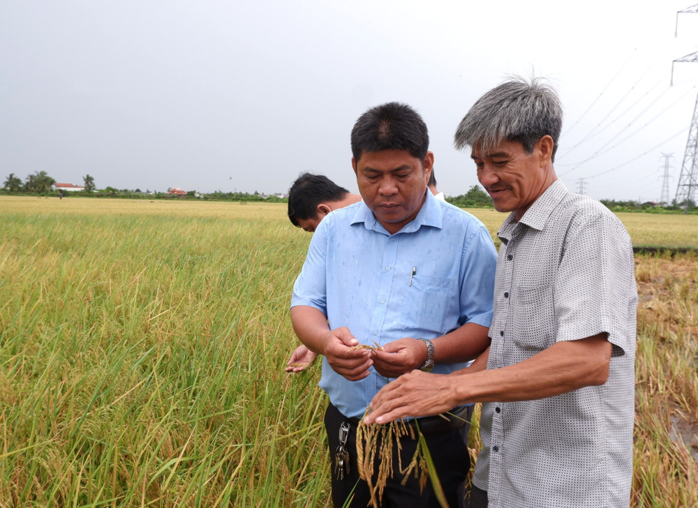 Tay Ninh – A destination for investors: What do businesses and investors need? (Part 2)