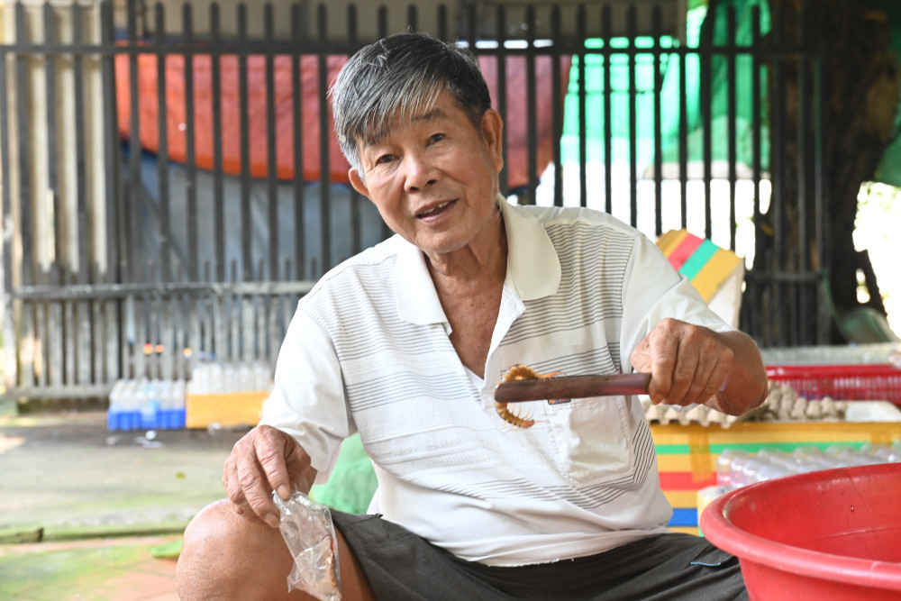 Độc lạ nghề bắt và nuôi rết Ông Hải lựa những chú rết nhỏ để lại nuôi