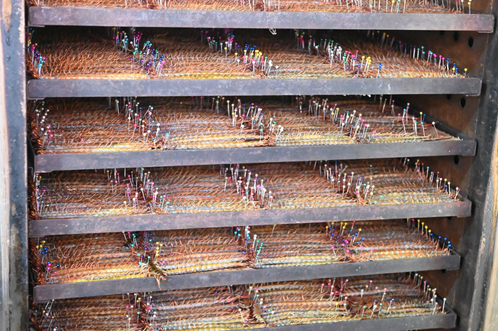 Độc lạ nghề bắt và nuôi rết Công đoạn sấy khô rết trong lò