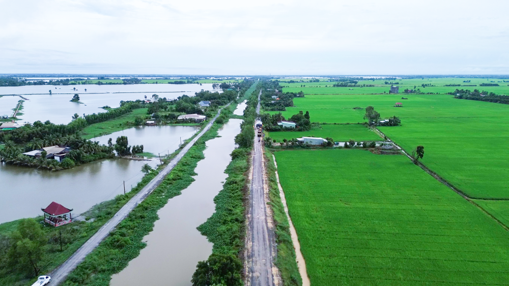 Xã Bình Hòa: Khởi công công trình san sửa, cứng hóa mặt đê phục vụ giao thông nông thôn đường Cây Khô Nhỏ