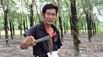 Độc lạ nghề bắt và nuôi rết