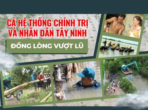 Cả hệ thống chính trị và Nhân dân Tây Ninh đồng lòng vượt lũ
