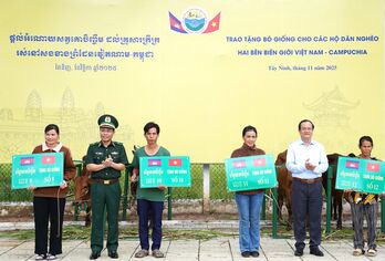 Trao tặng bò giống cho các hộ dân hai bên biên giới Việt Nam – Campuchia