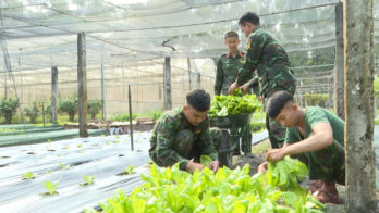 Những 'đội quân lao động - sản xuất' trong thời bình