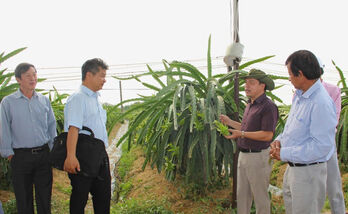 Kinh tế tập thể - Hướng đi bền vững giúp người dân thoát nghèo