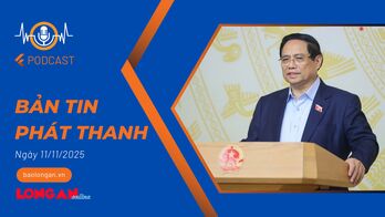 Bản tin phát thanh ngày 11/11/2025