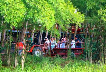 Thời tiết hôm nay 11/11: Đất liền nắng ráo, Biển Đông bão dữ