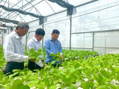 Improve the operations and management of agricultural cooperatives