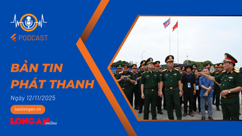 Bản tin phát thanh ngày 12/11/2025