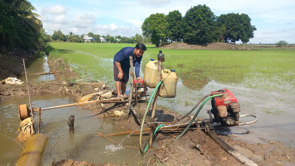 Focus on taking care of crops after rain and flood