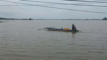 Lũ rút, nông dân ra đồng bắt cá