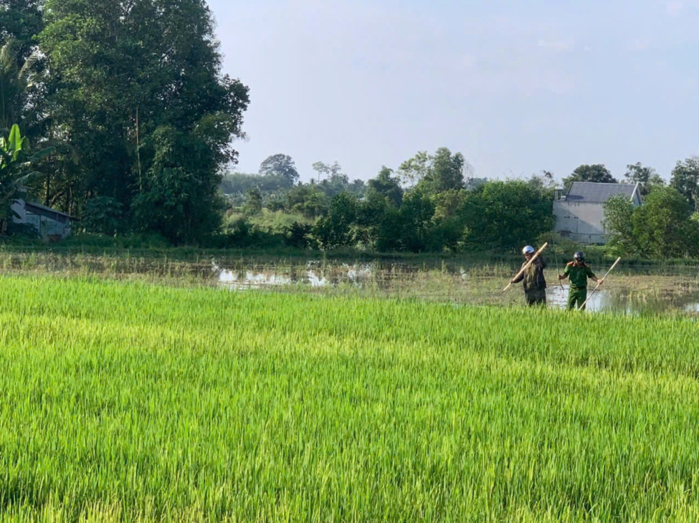 Công an xã Châu Thành tuyên truyền, xử lý vi phạm liên quan đến bảo vệ động vật hoang dã