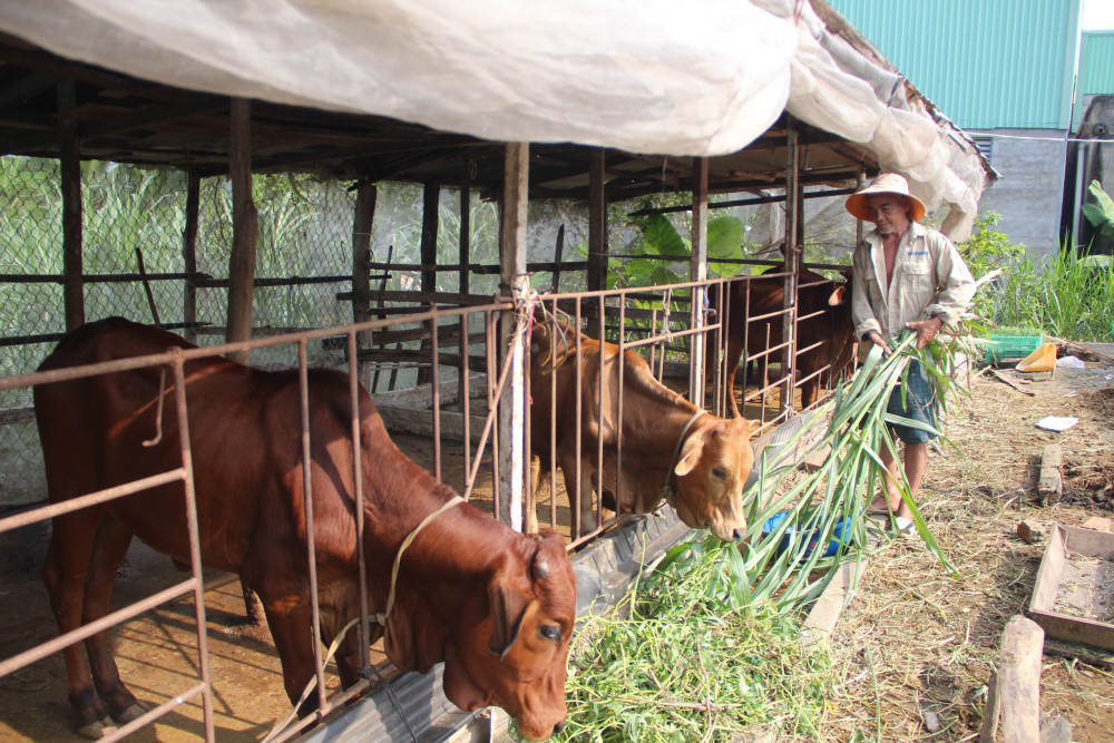 Giảm nghèo bền vững, nâng tầm diện mạo nông thôn