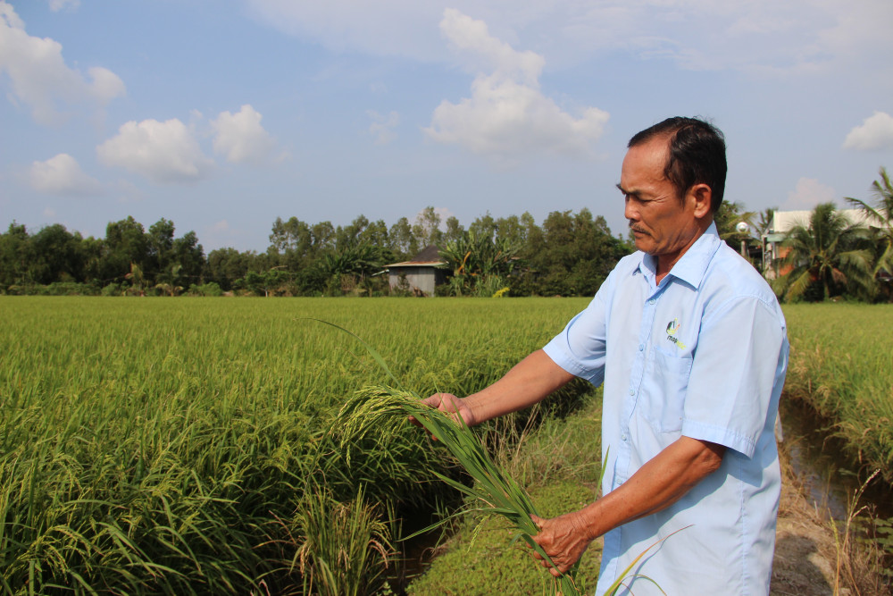 Giảm nghèo bền vững, nâng tầm diện mạo nông thôn
