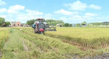 Hòa Hội: Khai thác tiềm năng, phát triển kinh tế vùng biên