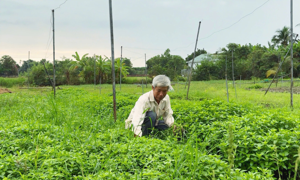'Đòn bẩy' giúp hộ nghèo vươn lên