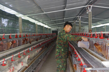 Tăng gia sản xuất – Bảo đảm hậu cần