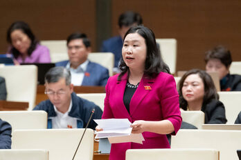 Đại biểu Lê Thị Song An: Đề nghị bổ sung vào các khoản được miễn trừ khi tính thuế thu nhập cá nhân
