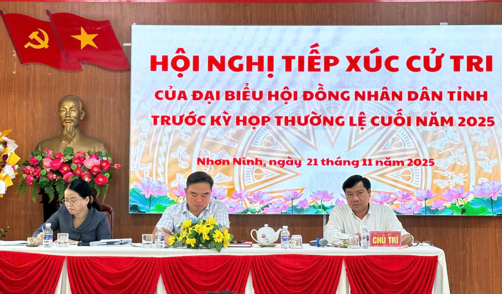 Đại biểu HĐND tỉnh tiếp xúc hơn 100 cử tri 4 xã: Tân Thạnh, Nhơn Ninh, Nhơn Hòa Lập và Hậu Thạnh