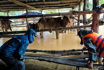 Thời tiết hôm nay 22/11: Quảng Ngãi đến Đắk Lắk và Khánh Hòa vẫn còn mưa