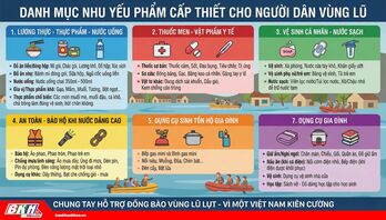 Danh mục nhu yếu phẩm người dân vùng lũ đang cần