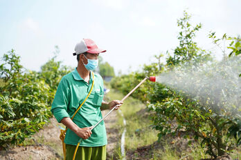 Khẩn trương khắc phục hậu quả do lũ gây ra