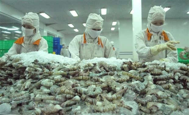 Vietnam earns 1.1 billion USD from shrimp exports to China