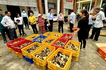 'Sinh kế vững - Đời sống ấm no'