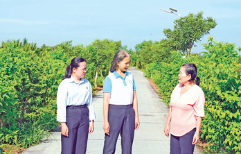 Biến '5 không, 3 sạch' thành hành động