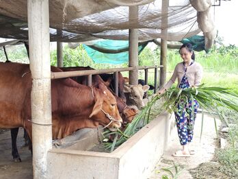 Vươn lên từ đồng vốn nghĩa tình