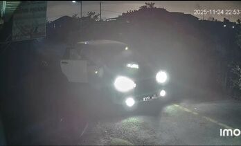 Điều tra vụ dùng xe ô tô đi trộm chó trong đêm