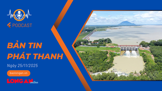 Bản tin phát thanh ngày 25/11/2025