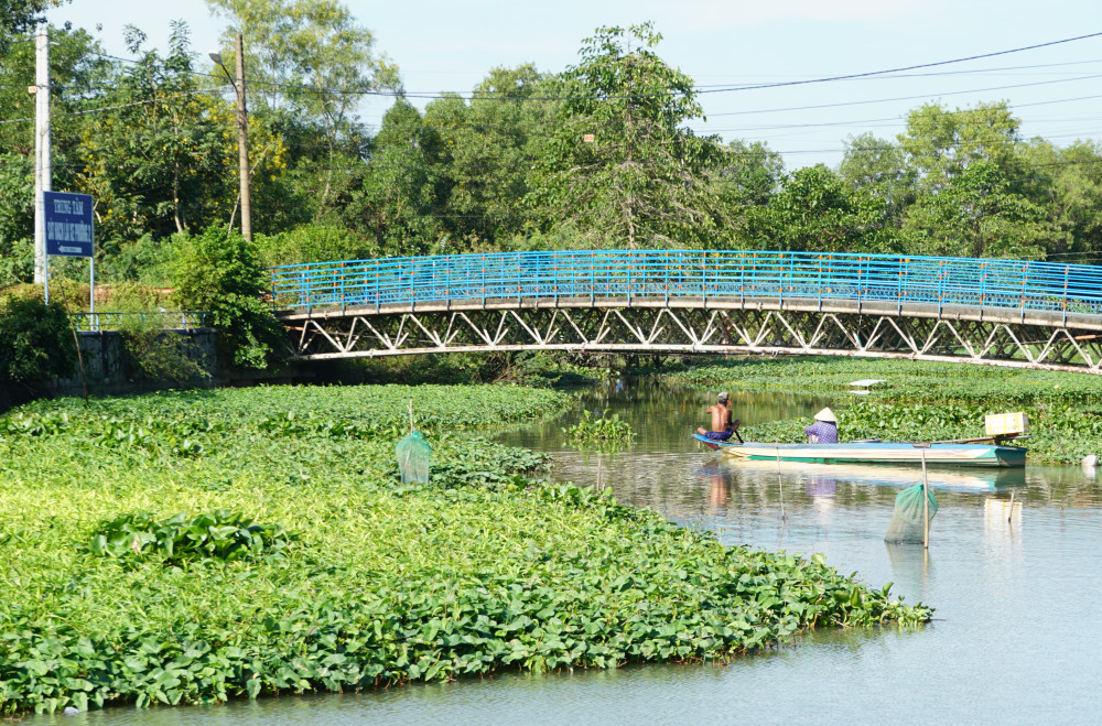 Các loài thủy sinh làm ảnh hưởng đến dòng chảy, giao thông đường thủy gây khó khăn cho việc đánh bắt cá
