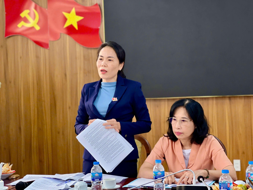 Đoàn giám sát của HĐND tỉnh làm việc với Sở Y tế về tình hình cung cấp thuốc bảo hiểm y tế và vật tư y tế