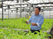 Towards sustainable agricultural development